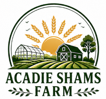 Acadie Shams Farm